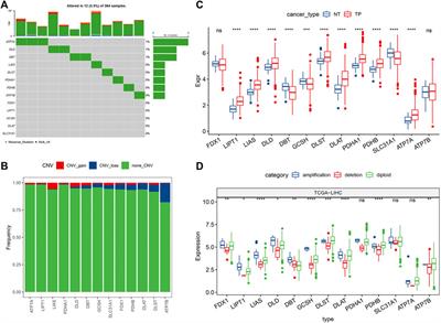 Risk model of hepatocellular carcinoma based on cuproptosis-related genes